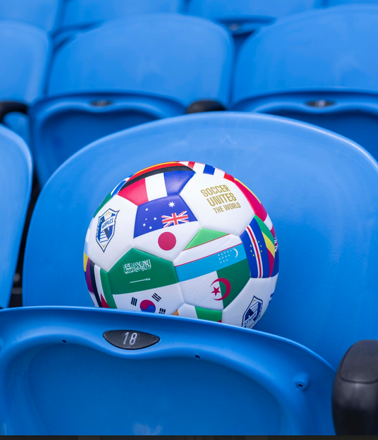 World Soccer ball